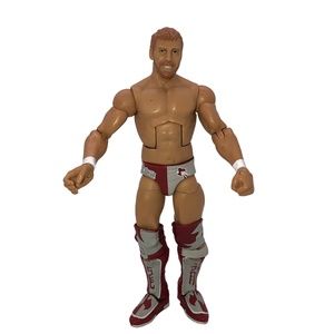 WWE American Dragon Daniel Bryan 2010 Mattel Toy Wrestling Action Figure
